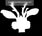 the jackalope store - Home