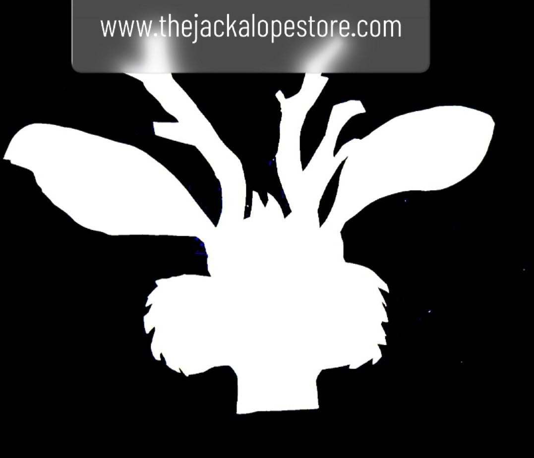 the jackalope store